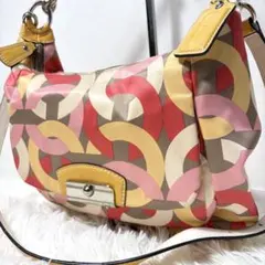 COACH コーチ オプアート ホーボー ショルダーバッグ F22745 - メルカリ