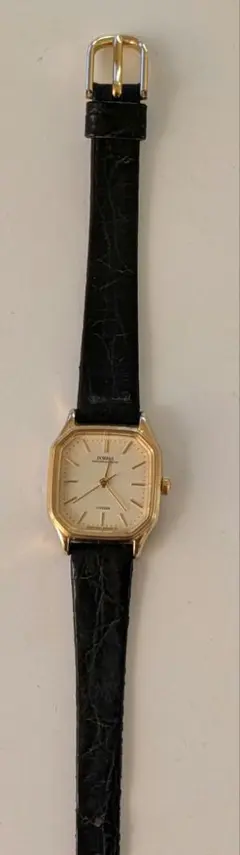 Item thumbnail for item 5169bee1-2836-4b56-a6d1-42d2d244c1ea