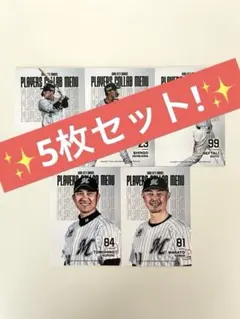 2025年最新】Bbm ロッテの人気アイテム - メルカリ