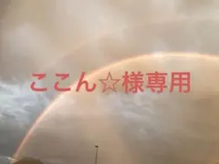 ここん☆様専用ページ
