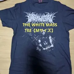 Item thumbnail for item 8f058124-3220-498f-9d86-3882a7eec4a1