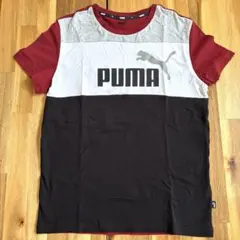 PUMA 半袖Tシャツ 160サイズ