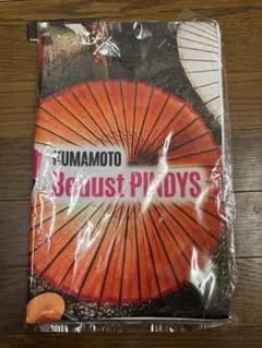 熊本ビューストピンディーズ　スポーツタオル