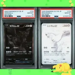 【PSA10 連番】ゼクロム レシラム ex BWR