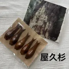 世界の銘々　屋久杉　木製　魚型　箸置き　5個セット