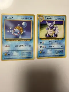 ゼニガメ カメール　旧裏