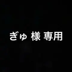 ぎゅ 様 専用