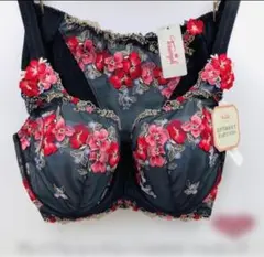 トリンプ プレミアム レッドレーベル　フルカップブラジャー D75ショーツM