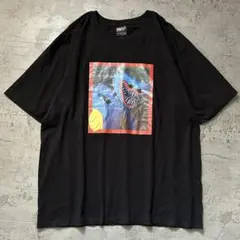 USA製90s JERZEESネイティブフェザースーベニアTシャツ発泡ブラックL 