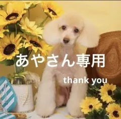 あやさんおまとめ　ペンダント