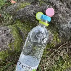 Item thumbnail for item 4fe6dd67-fb38-4e65-87f2-5c7b854be7ef