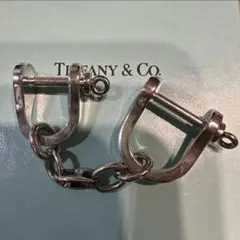 2026年最新】tifanny ダブルシャックルの人気アイテム - メルカリ