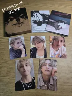 LAYOVER BTS V テテ カード 5枚　フォトセット