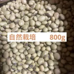 自然栽培　青大豆　800g ④のサムネイル
