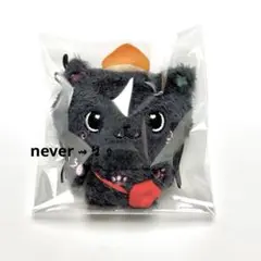 nctwish wishdoll クリ jp.ktown4u.com : fanclub item_[少量再入荷] NCT WISH