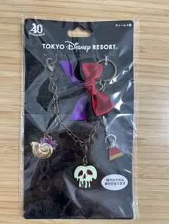 ディズニー　ヴィランズ　チャーム 3個セット