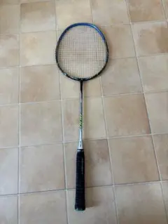 ナノレイ800