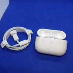 Apple AirPods Pro 第2世代 ライトニング ケース ケーブル