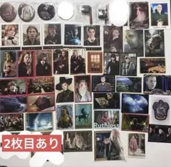 ハリーポッター パニーニ 缶バッジ ステッカー ぱしゃこれ ロン シリウス