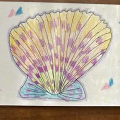 一服盛られたホタテ貝 1点もの イラスト 原画 ボールペン 色鉛筆 ポストカード