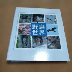 2026年最新】野鳥の世界 デアゴスティーニの人気アイテム - メルカリ