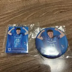 Item thumbnail for item b0356f4f-8752-4581-af78-2d39fde4da7b