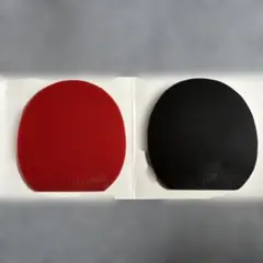 ディグニクス09C 特厚2枚組