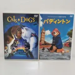 パディントン　キャッツ＆ドッグス DVDセット