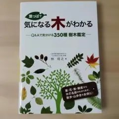 葉っぱで気になる木がわかるのサムネイル