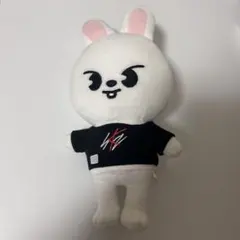 【匿名】Stray Kids スキズ リービット エコパ ぬいぐるみ straykids SKZOO エコパ リービット - メルカリ