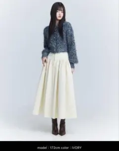EIMY ISTOIRE エイミーイストワール　スカート　フレアスカート　無地