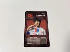 VCJ プレイヤーカード QTDIG KIPPEI