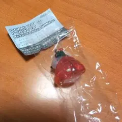 PEANUTS めじるしアクセサリー FUNNY ver.　ガチャ