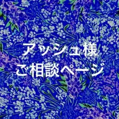 ✲アッシュ様 ご相談ページです。✲