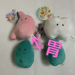 未使用　FANS にんげんのからだぬいぐるみ 胃い
