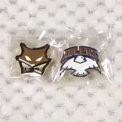 ハイキュー　クロニクル　ピンズ