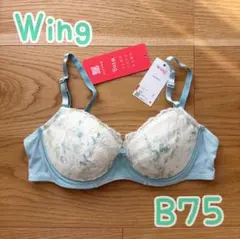 ワコール　Wing マッチミーブラ B75 ブラジャー ウイング TU
