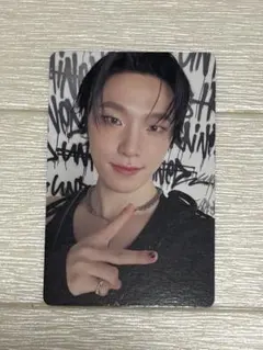 SEVENTEENトレカ　ディノ