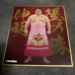 2026年最新】力色紙 相撲の人気アイテム - メルカリ