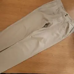 サリースコット