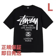 ❗️期間限定SALE❗️ステューシー WORLD TOUR TEE ブラックL