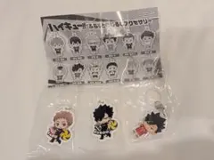 ハイキュー　めじるしチャーム