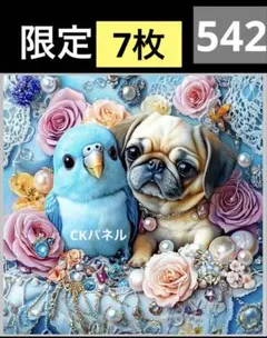 ハロウィンインコパネル生地　ハンドメイド 生地 オックス Dream Halloween ハロウィン（パネル単位