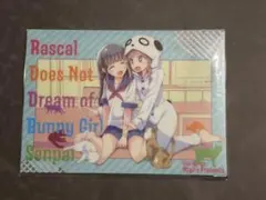 Ntype BUNNY A GIRL!C95 青ブタ 溝口ケージ ファイル