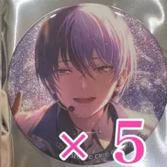 おもち様専用　冬弥5点