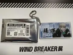 彼方(カナタ)様 リクエスト 2点 まとめ商品