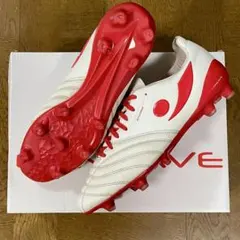 柿谷曜一朗 2014 Panini Prizm Red 149枚限定 激レア！ 2025年最新】柿谷曜一朗の人気アイテム - メルカリ