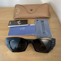 RAY-BANレイバン ZENA BIO-BASED サングラス ケース付