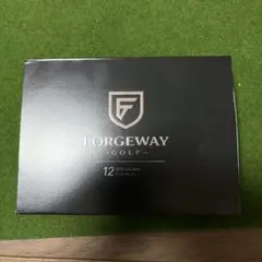 FORGEWAY DFS Core MAX ゴルフボール 12球