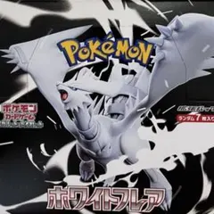 2025年最新】ホワイトフレア未開封の人気アイテム - メルカリ